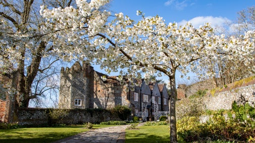 Trees covered in white blossom in the walled cherry garden at Greys Court, Oxfordshire